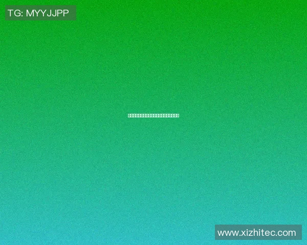 高林篮球明星的崛起之路与未来发展展望解析