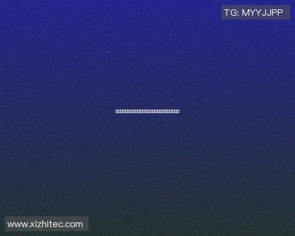 篮球明星的故乡新乡探索与发展之路的多元魅力与未来潜力